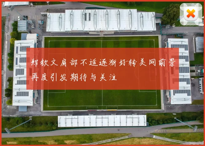 郑钦文肩部不适逐渐好转美网前景再度引发期待与关注